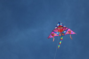 Image-preview_300x200