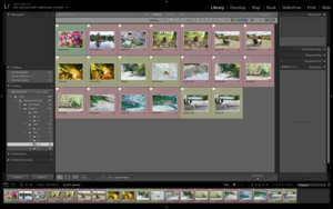 Image-preview_300x200