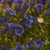 Image-square_50