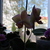 Image-square_50