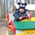 Image-square_50