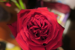 Image-preview_300x200