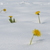 Image-square_50