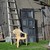 Image-square_50