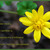 Image-square_50