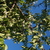 Image-square_50