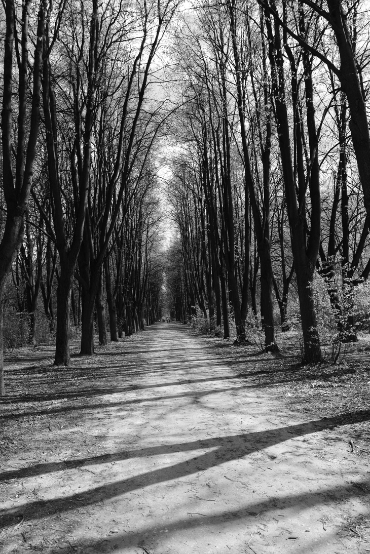 Image-normal