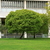 Image-square_50