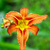Image-square_50