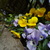 Image-square_50