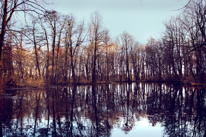 Image-preview_300x200