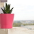 Image-square_50