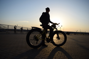 Image-preview_300x200