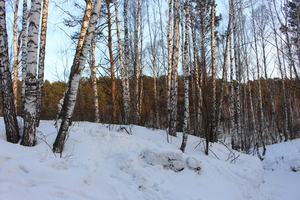 Image-preview_300x200