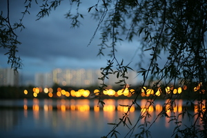 Image-preview_300x200
