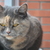 Image-square_50