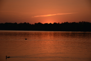 Image-preview_300x200