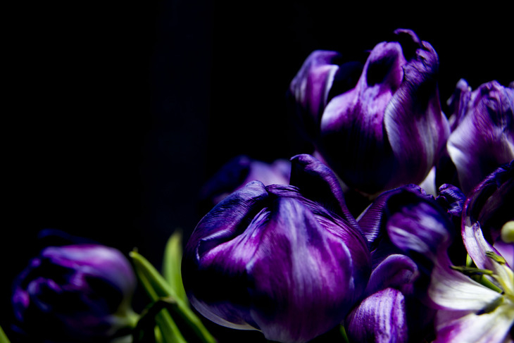 Image-normal