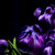 Image-square_50