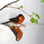 Image-square_50