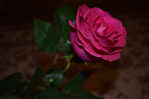 Image-preview_300x200