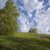 Image-square_50