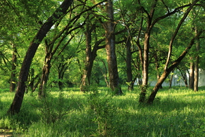 Image-preview_300x200