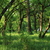 Image-square_50