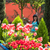 Image-square_50