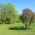 Image-square_50