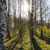 Image-square_50