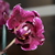 Image-square_50