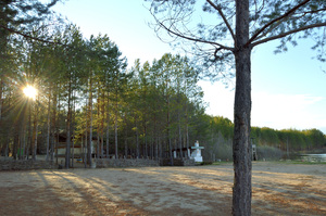 Image-preview_300x200