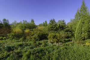 Image-preview_300x200