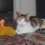 Image-square_50