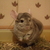 Image-square_50