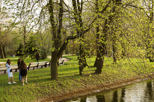 Image-preview_300x200