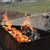 Image-square_50