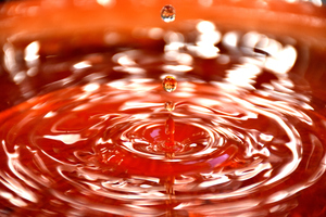 Image-preview_300x200