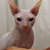 Image-square_50