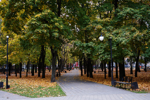 Image-preview_300x200