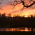 Image-square_50