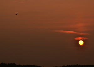 Image-preview_300x200