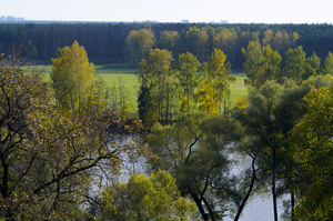 Image-preview_300x200