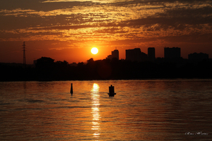 Image-preview_300x200