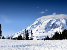 Image-rectangle_220_165