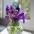 Image-square_50