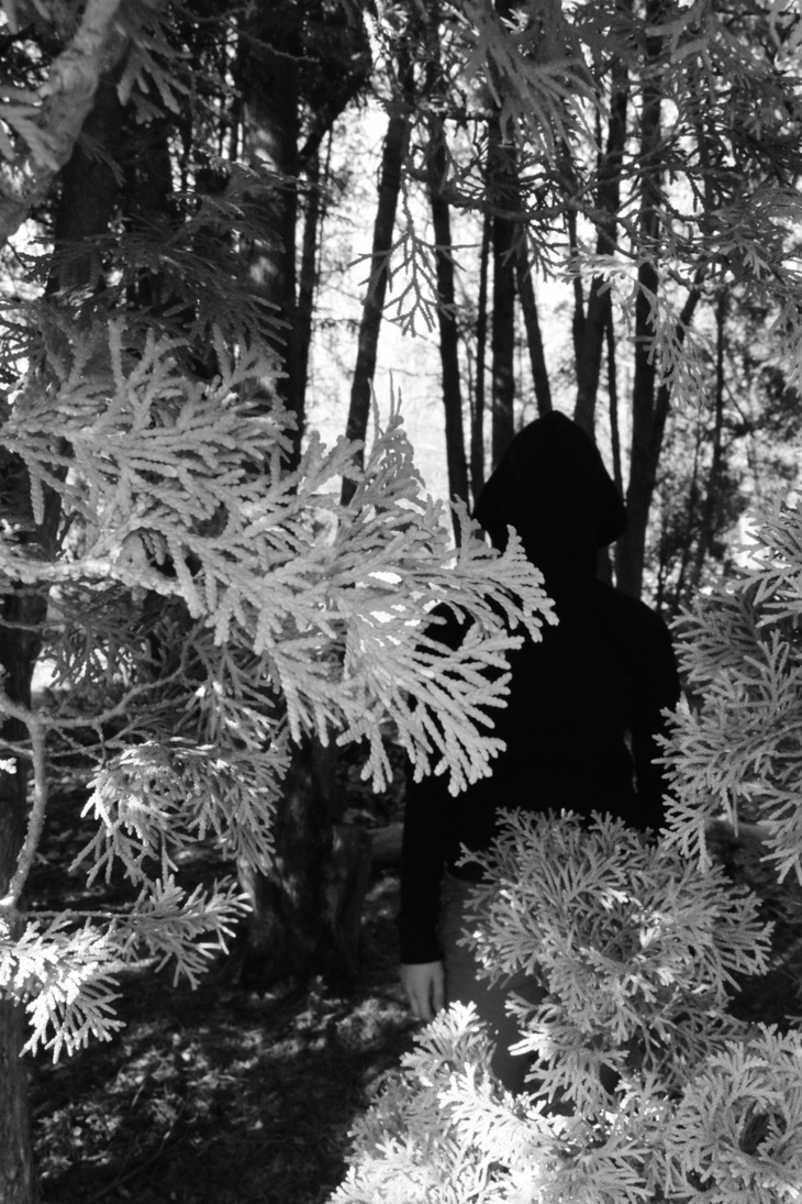 Image-normal