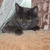 Image-square_50