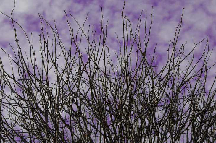 Image-normal